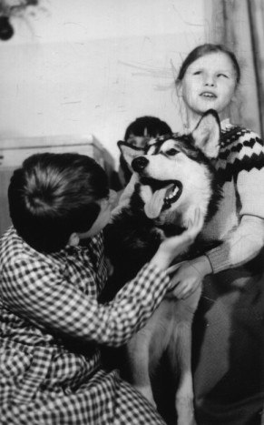 Dogoterapia - Cze-ne-ka'87